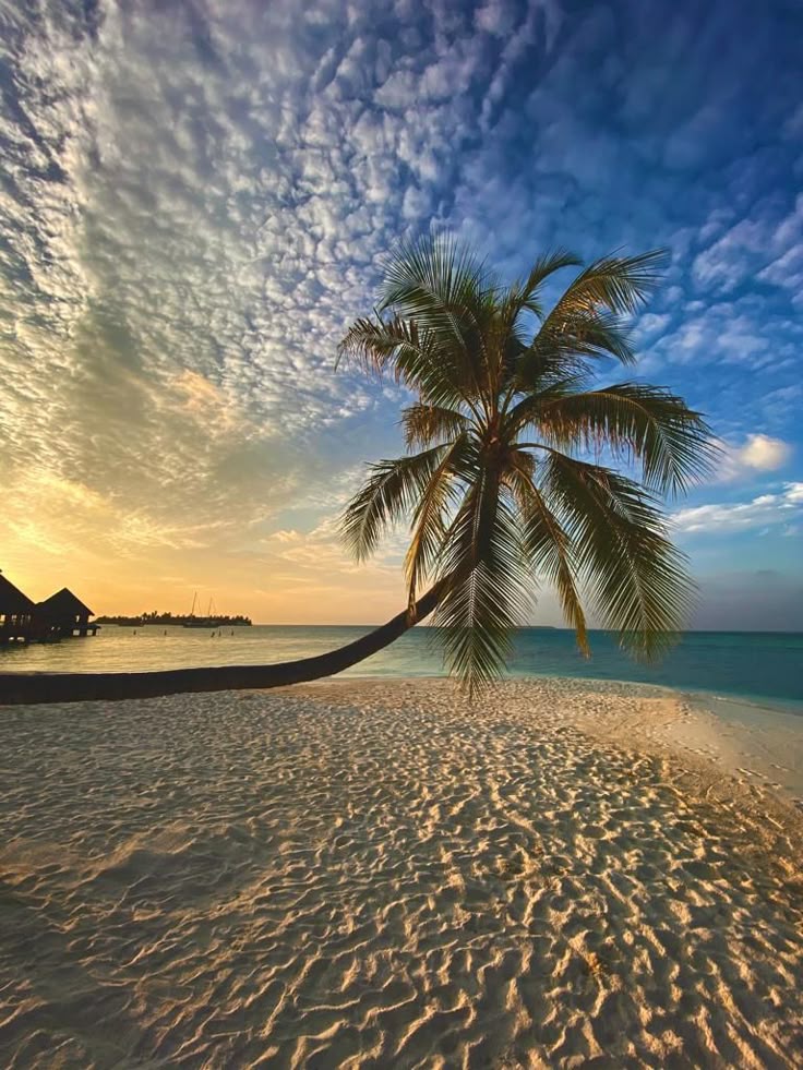 Lakshadweep Beaches